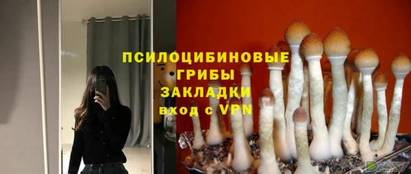 PSILOCYBIN Аркадак