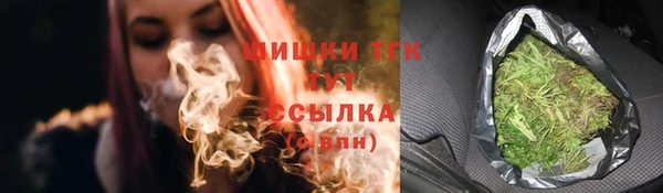 шишки Балахна