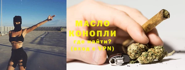 индика Армянск