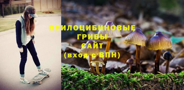 индика Армянск