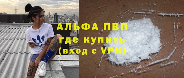 индика Армянск
