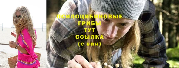PSILOCYBIN Аркадак