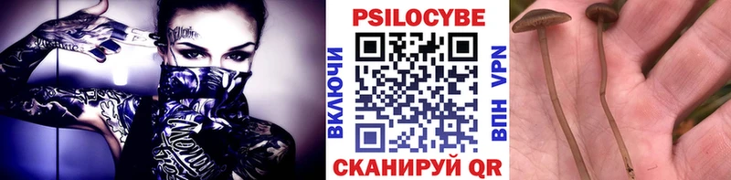 Псилоцибиновые грибы прущие грибы  Яблоновский 